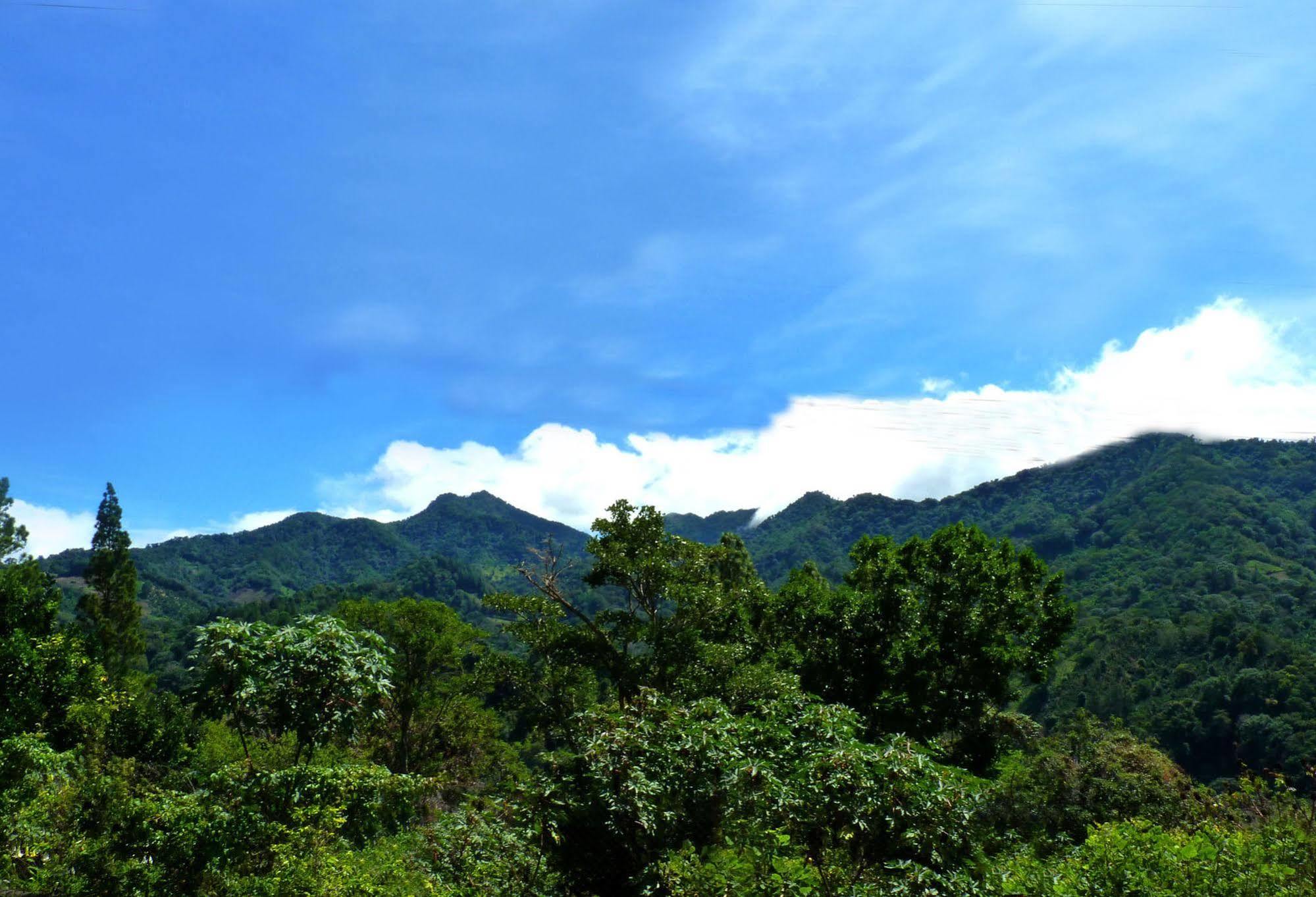Autana Bed & Breakfast Boquete Bagian luar foto
