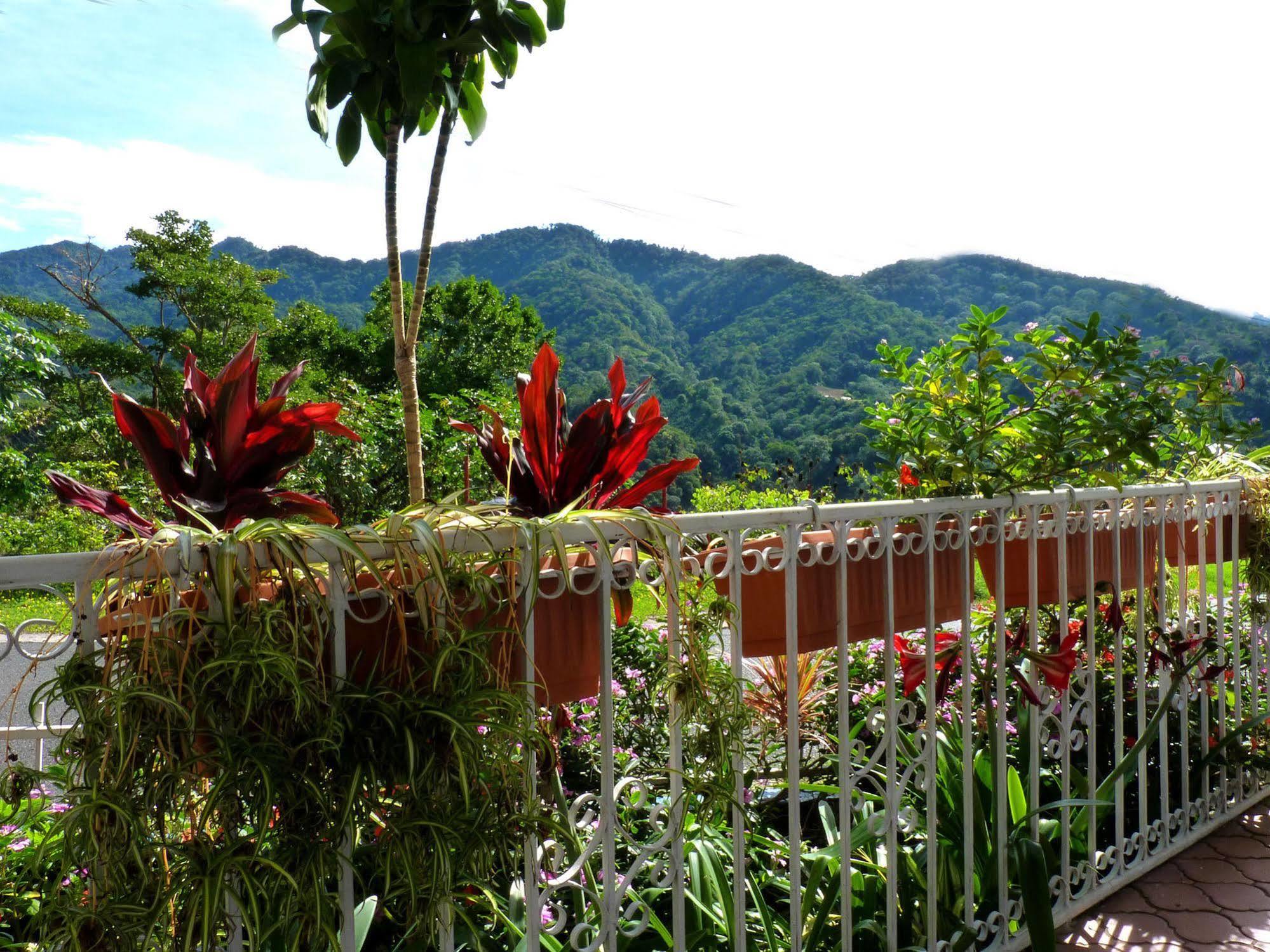 Autana Bed & Breakfast Boquete Bagian luar foto