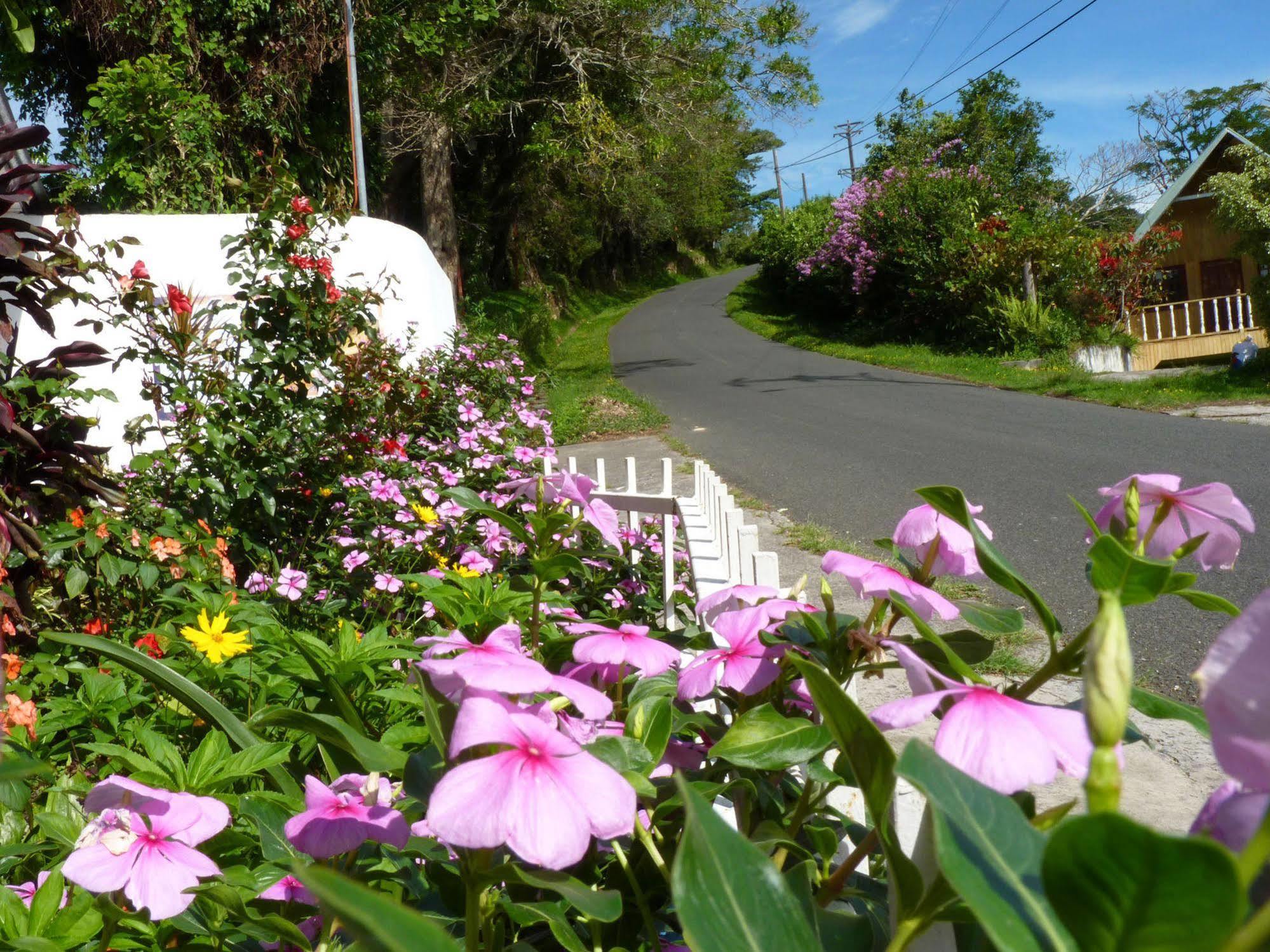 Autana Bed & Breakfast Boquete Bagian luar foto
